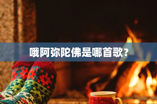 哦阿弥陀佛是哪首歌？