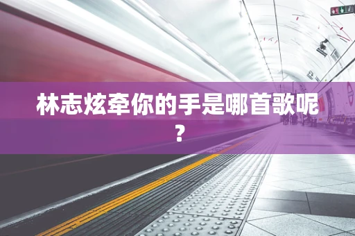 林志炫牵你的手是哪首歌呢？