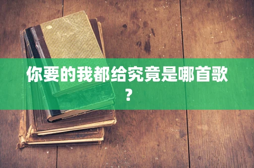 你要的我都给究竟是哪首歌？