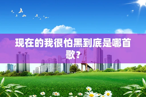 现在的我很怕黑到底是哪首歌？