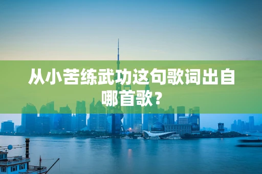 从小苦练武功这句歌词出自哪首歌？