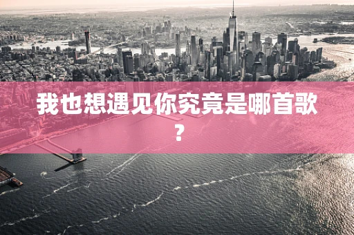 我也想遇见你究竟是哪首歌？