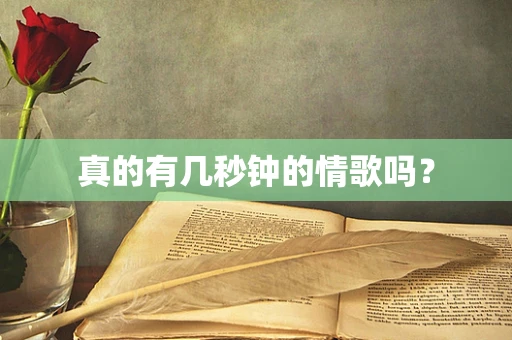 真的有几秒钟的情歌吗？
