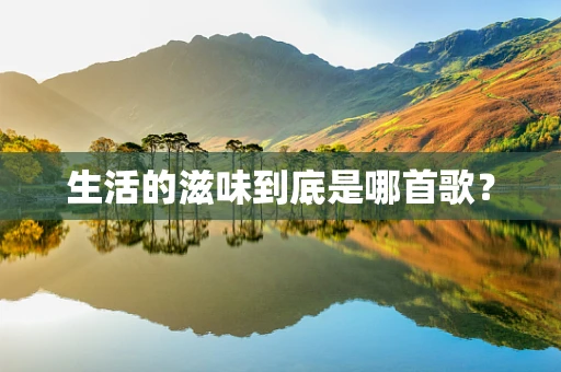 生活的滋味到底是哪首歌？