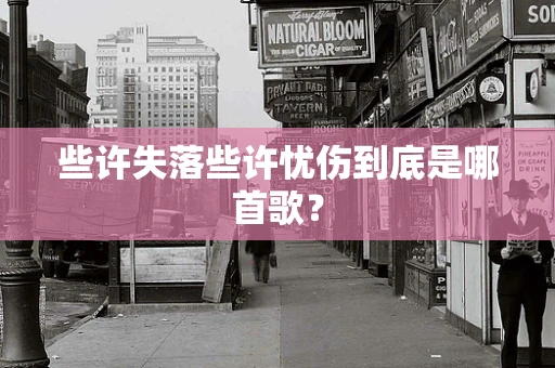 些许失落些许忧伤到底是哪首歌？