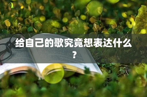 给自己的歌究竟想表达什么？
