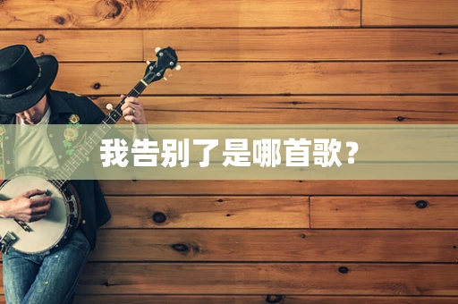 我告别了是哪首歌？