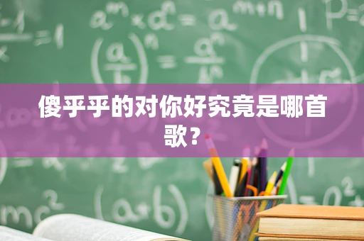 傻乎乎的对你好究竟是哪首歌？