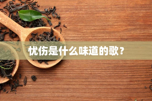 忧伤是什么味道的歌？