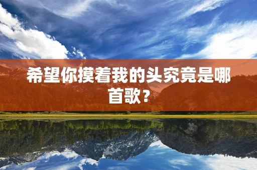 希望你摸着我的头究竟是哪首歌？
