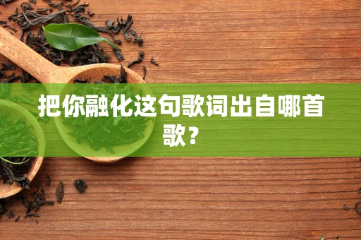 把你融化这句歌词出自哪首歌？