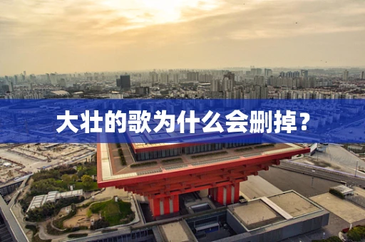 大壮的歌为什么会删掉？