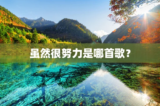 虽然很努力是哪首歌？