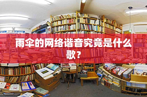 雨伞的网络谐音究竟是什么歌？