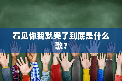看见你我就哭了到底是什么歌？