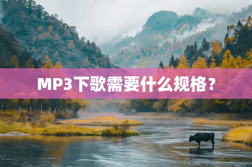 MP3下歌需要什么规格？