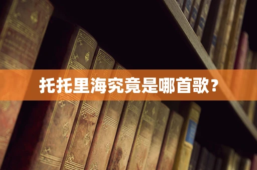 托托里海究竟是哪首歌？