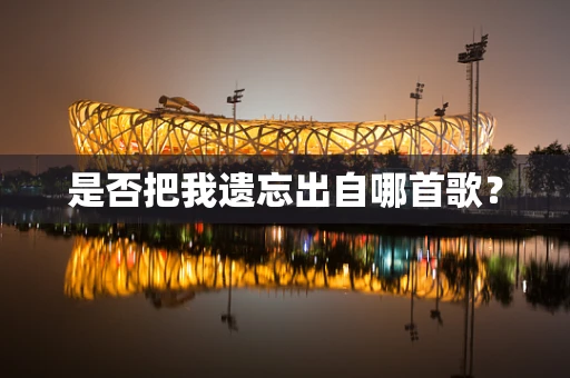 是否把我遗忘出自哪首歌？