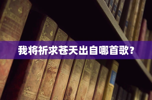我将祈求苍天出自哪首歌？