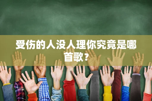 受伤的人没人理你究竟是哪首歌？