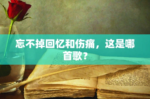 忘不掉回忆和伤痛，这是哪首歌？
