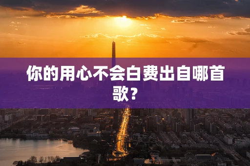 你的用心不会白费出自哪首歌？