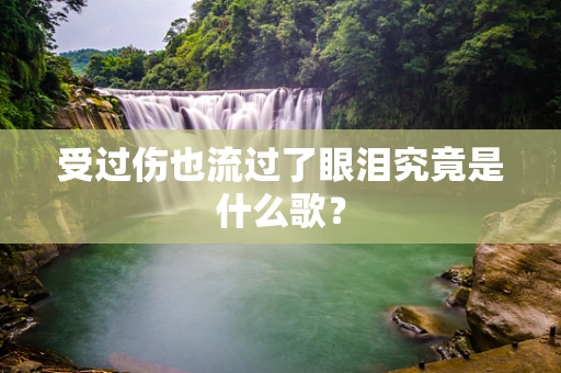 受过伤也流过了眼泪究竟是什么歌？