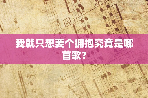 我就只想要个拥抱究竟是哪首歌？