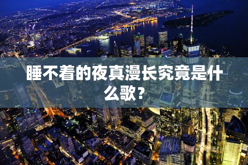 睡不着的夜真漫长究竟是什么歌？