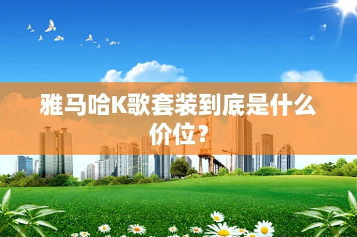 雅马哈K歌套装到底是什么价位？