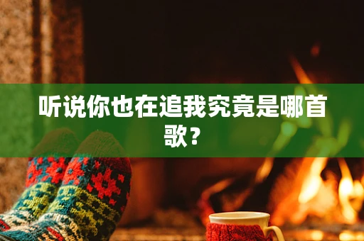 听说你也在追我究竟是哪首歌？