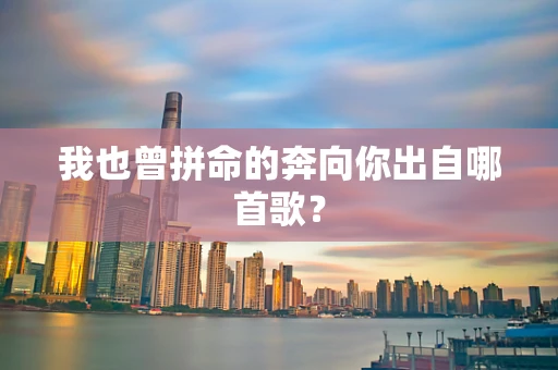 我也曾拼命的奔向你出自哪首歌？