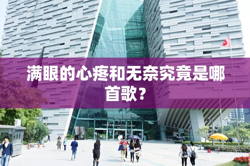 满眼的心疼和无奈究竟是哪首歌？