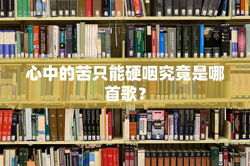 心中的苦只能硬咽究竟是哪首歌？