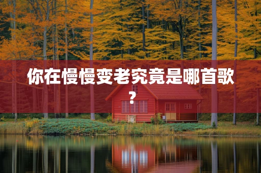 你在慢慢变老究竟是哪首歌？