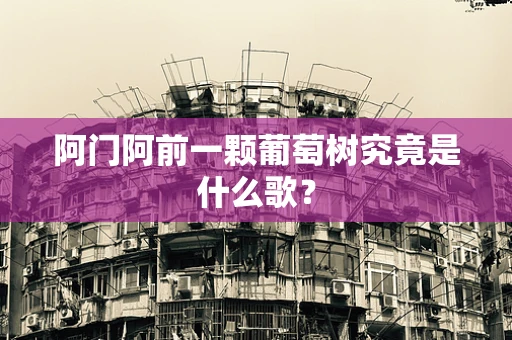 阿门阿前一颗葡萄树究竟是什么歌？