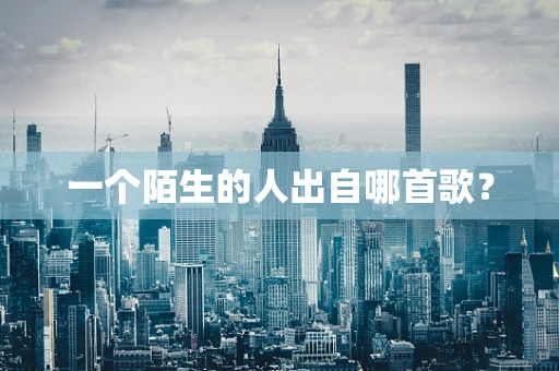 一个陌生的人出自哪首歌？
