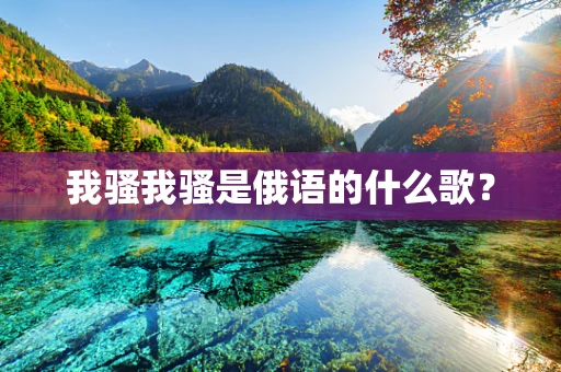 我骚我骚是俄语的什么歌？