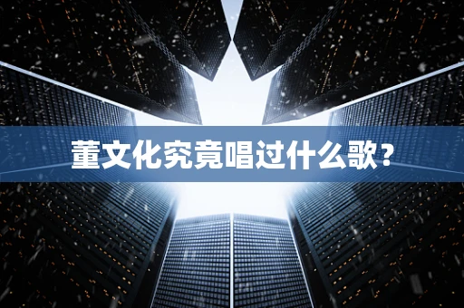 董文化究竟唱过什么歌？