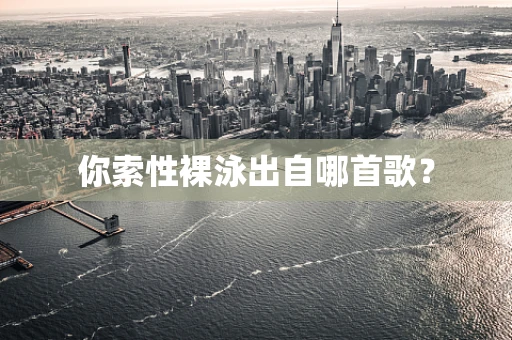 你索性裸泳出自哪首歌？