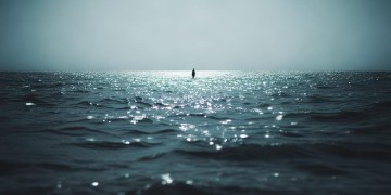 无处落脚的人海里出自哪首歌？