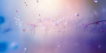 给我兄弟一份感情究竟是哪首歌？