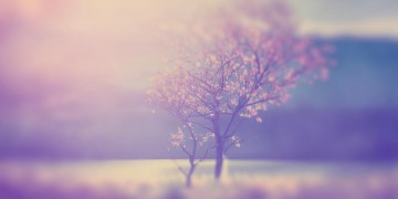分手后你不要难过究竟是哪首歌？