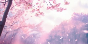 我曾经爱过你这句高潮歌词出自哪首歌？