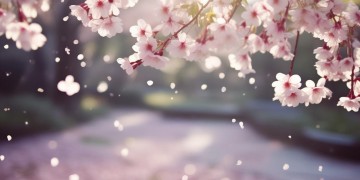 因为爱情不会轻易悲伤出自哪首歌？