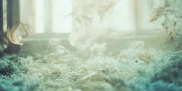 希望你摸着我的头究竟是哪首歌？