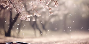 愿你再也不会悲伤出自哪首歌？