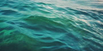 一片无人的海洋出自哪首歌？