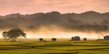 农村什么如歌四字成语究竟有哪些？