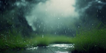 我经历了太多风雨究竟是哪首歌？